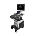 19 inch LED screen 128 element mobile 3d/4d color doppler ultrasound machine